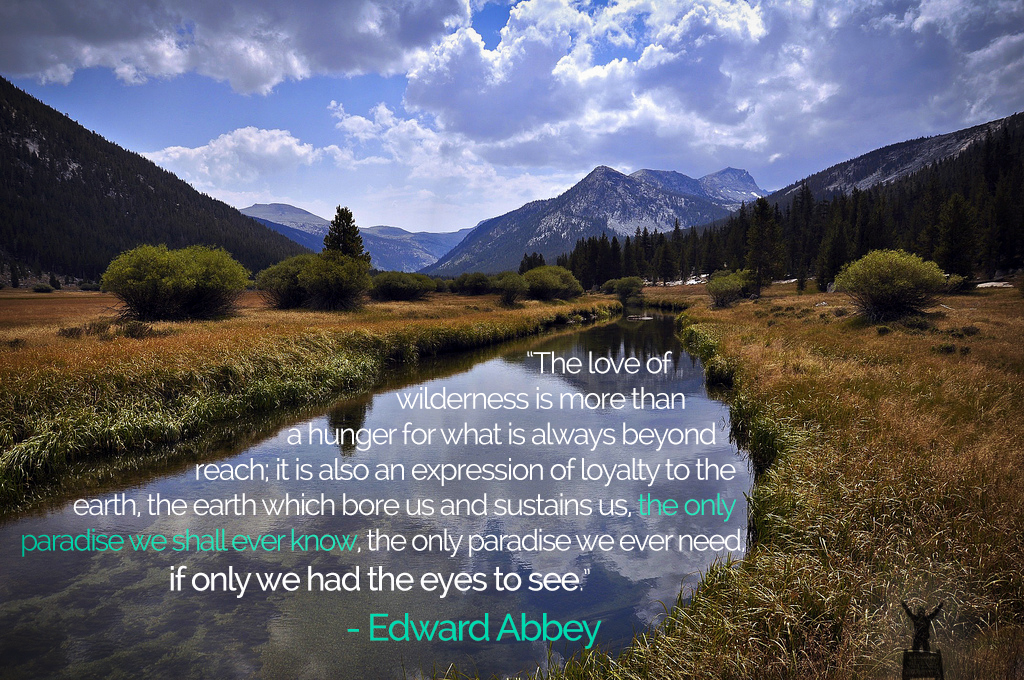 Top 53 Edward Abbey Quotes (ENVIRONMENT)