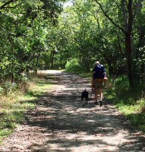 McKinney Falls Hike