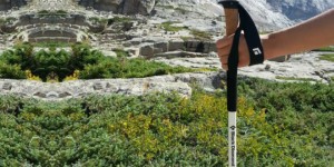 black diamond carbon cork trekking poles