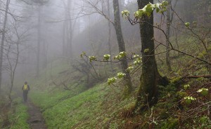 future of the Appalachian Trail