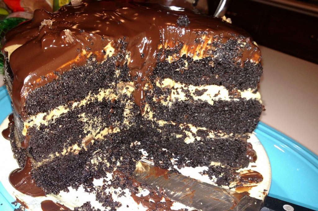 Lisa's Reese's Cake!! A hiker's dream!! We put a good dent in it!