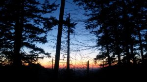 Night hiking out of Gatlinburg.