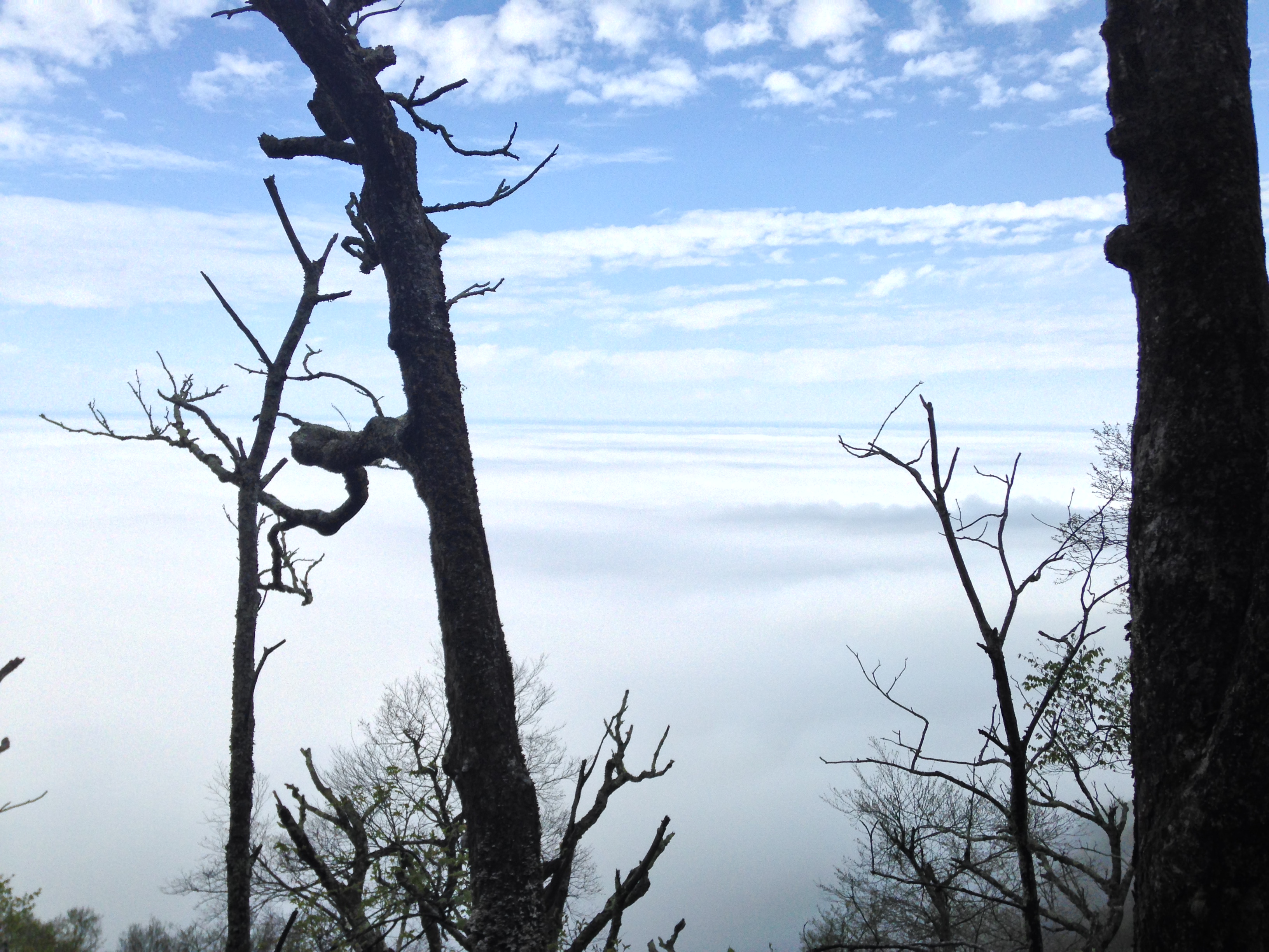 This was my favorite view today. I'm on top of the clouds!