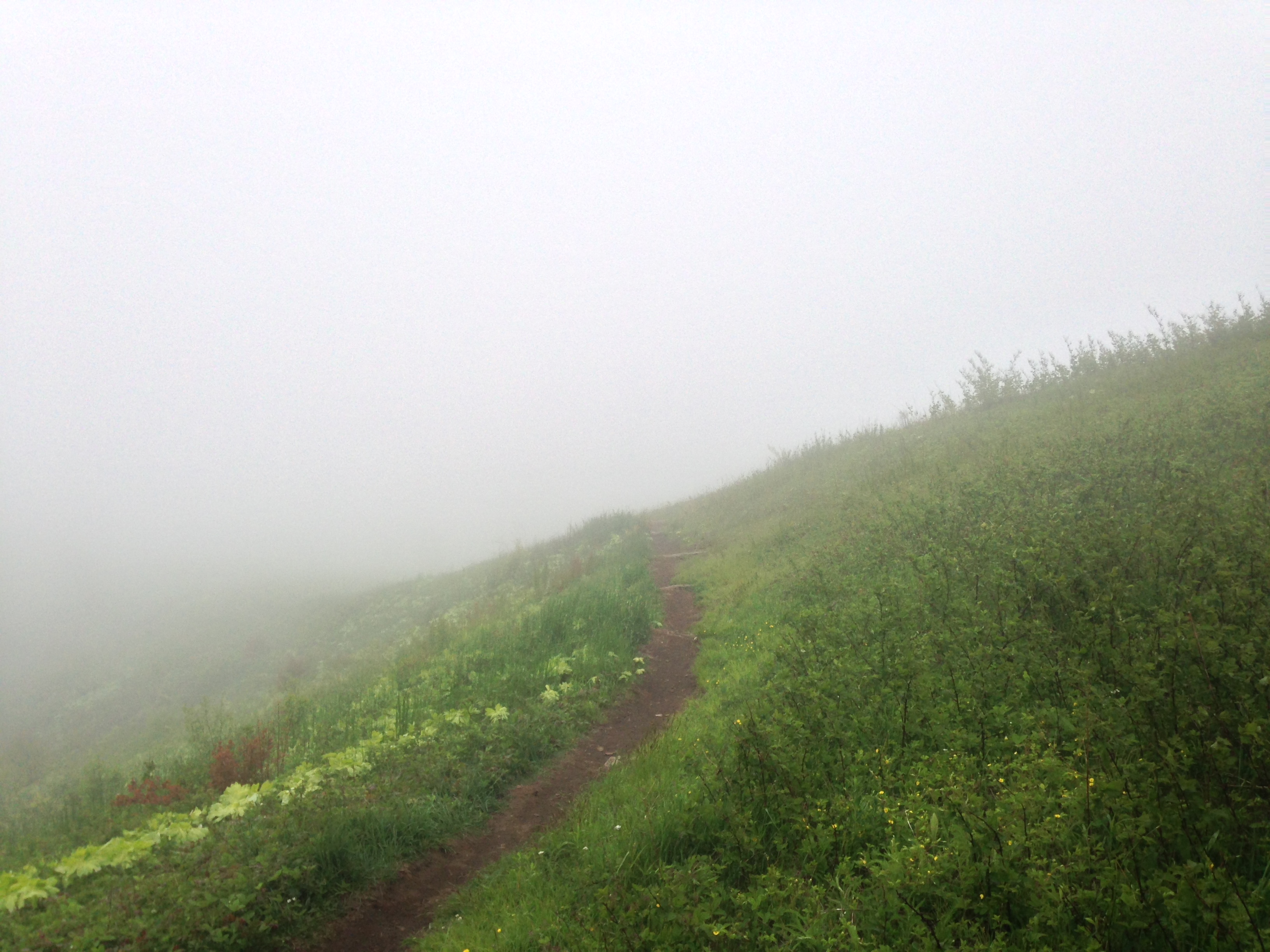 No views from Max Patch today!