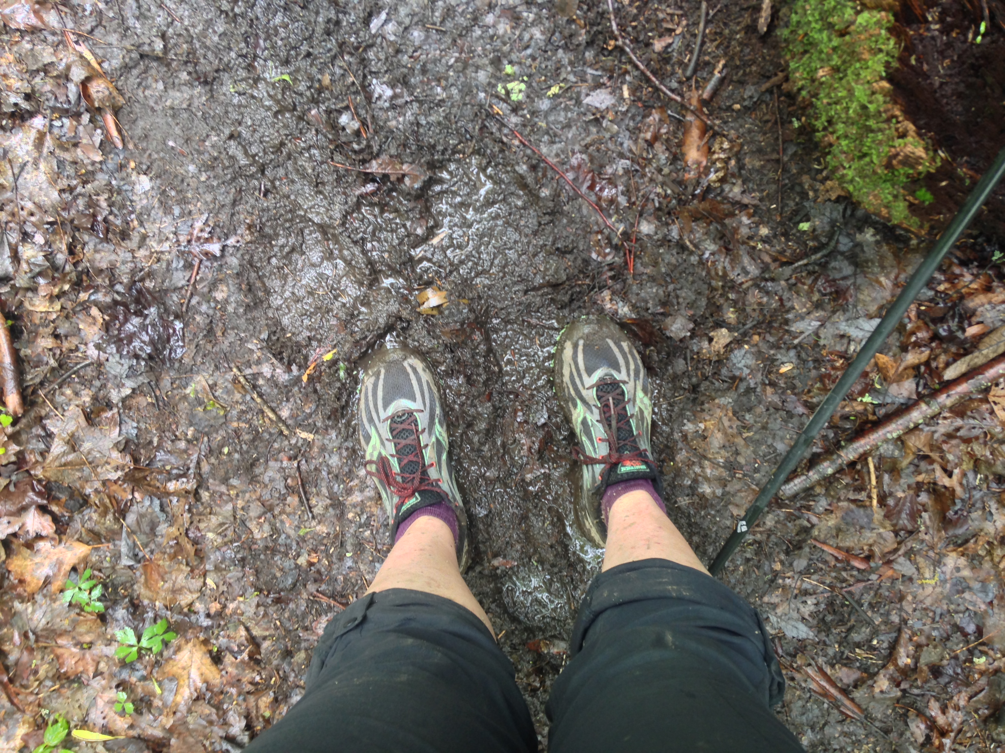 This was early on. Later my shoes were just mud balls.