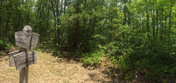 Signage in VA where 6 trails meet.