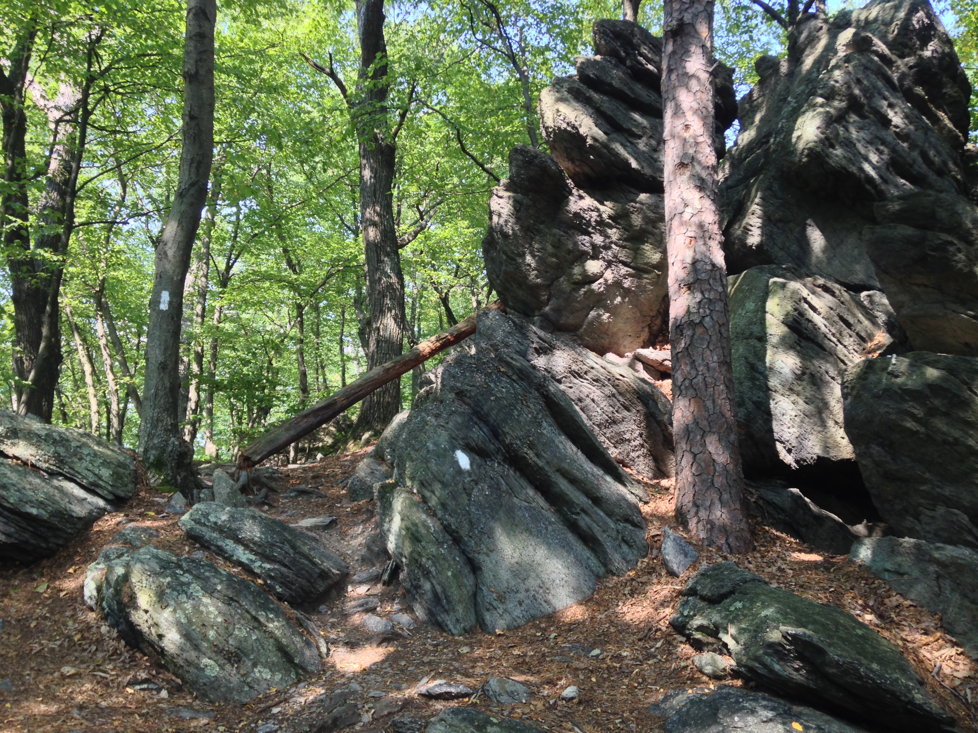 Today's favorite moment was going through the "rock mazes," two huge boulder deposits that the trail went through, rather than around. This is the start of the first one.