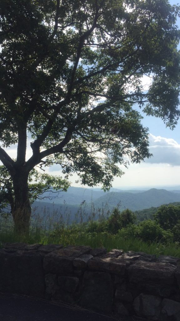 The view from one of the many Skyline Drive overlooks that isn't on the AT.
