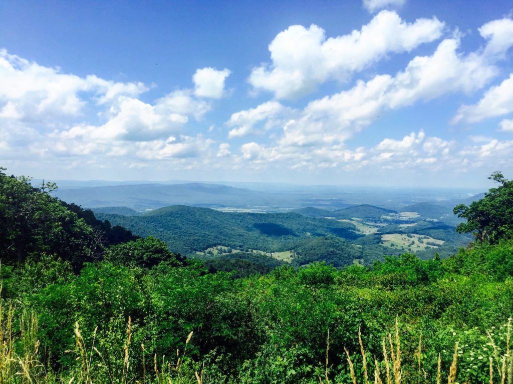 The view from Little Hogback Gap, the photo that wrecked my ankle.
