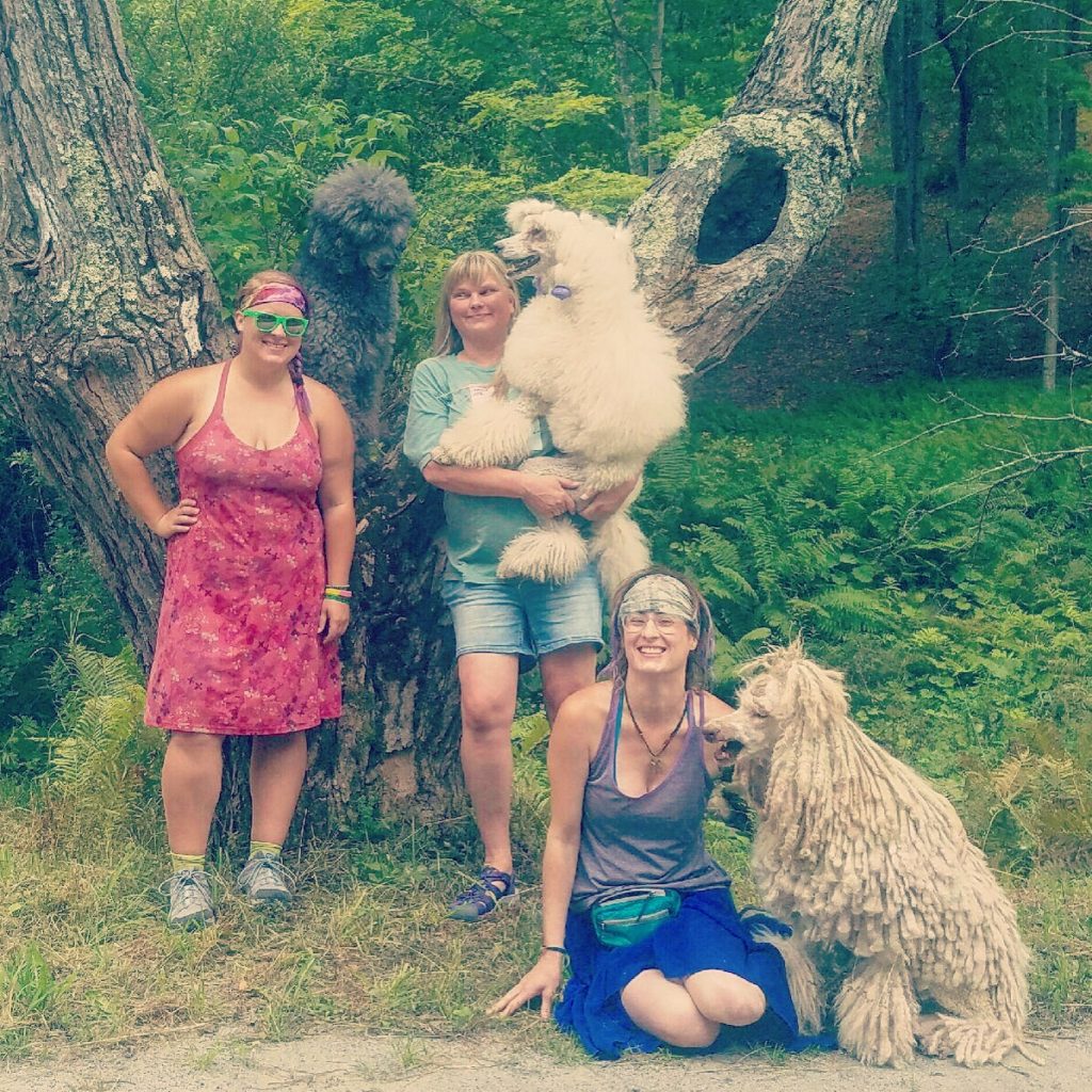 My friend Lisa brought her poodles Baldr, Skadi, and Foxxy to visit, and also brought fresh fruit and snacks for trail magic. Best day in a long time!