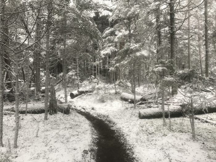 Winter wonderland in the Smokies