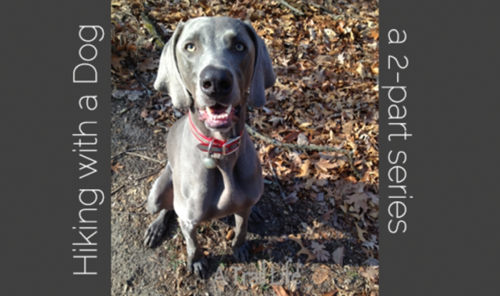 hiking-with-dog