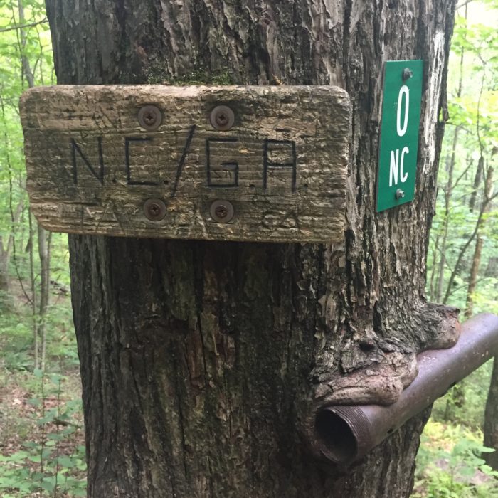 Georgia/ North Carolina border