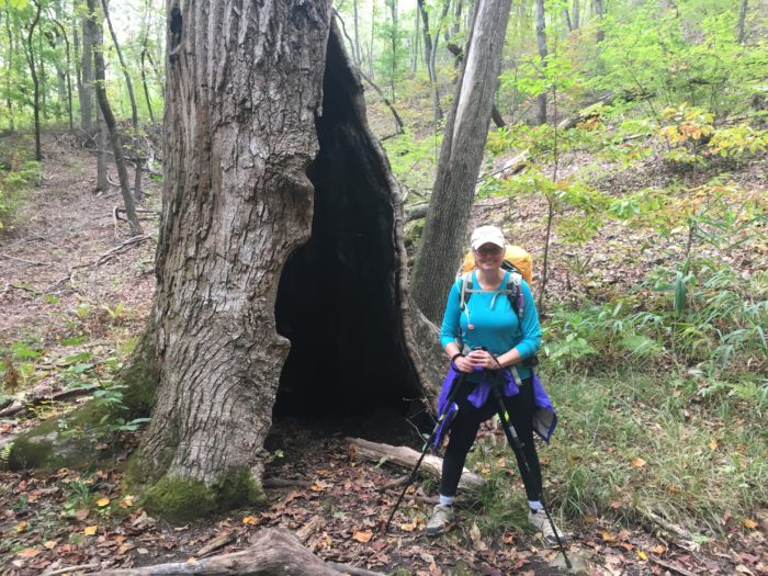 One reason why I'm hiking - cool trees