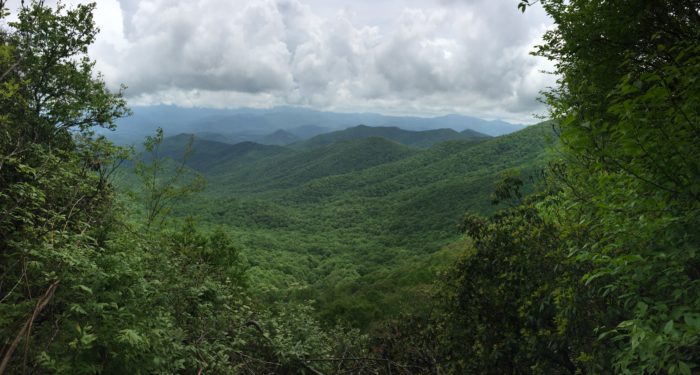 The view from the trail