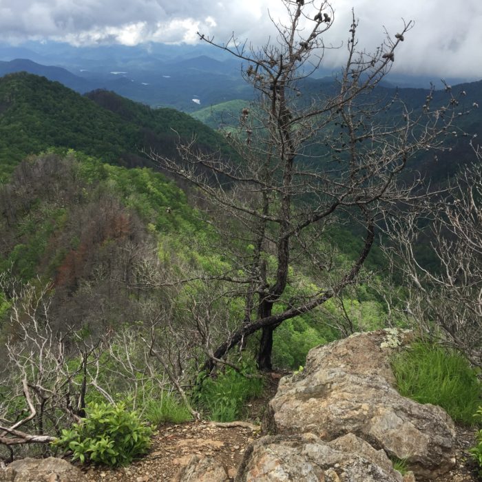 The rocky switchback with a great view