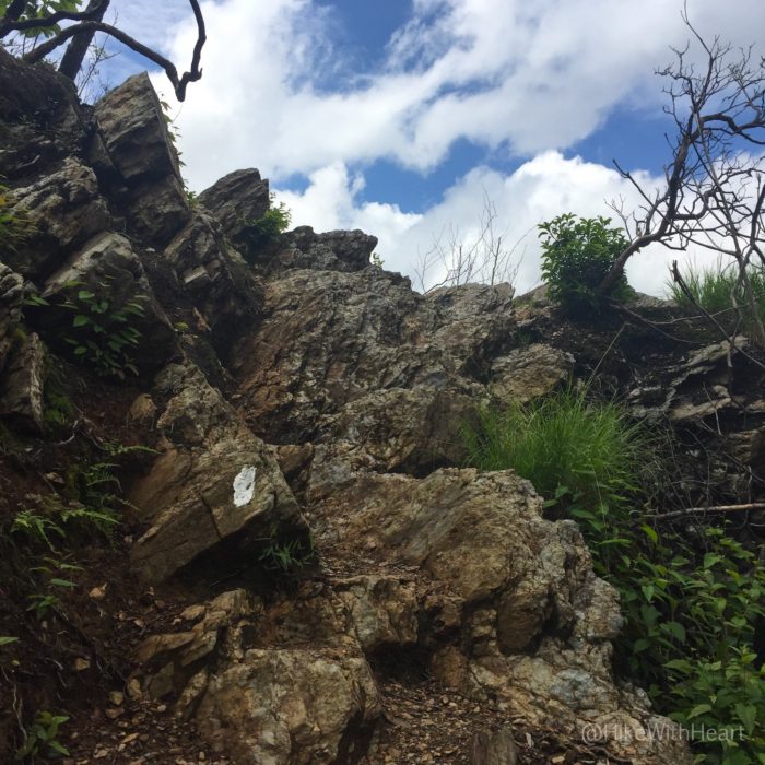 Rocky steps coming up to the switchback with a view