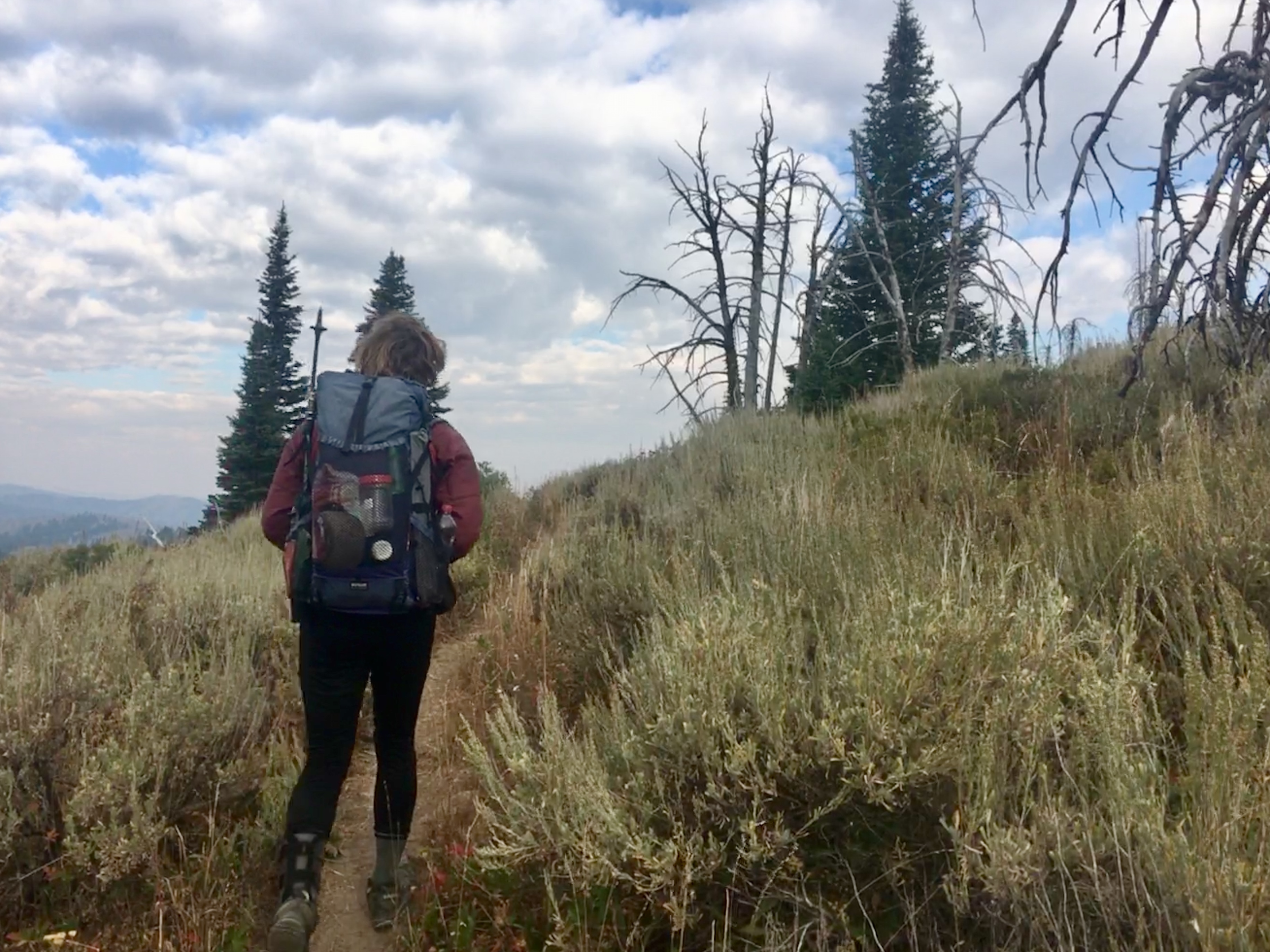 Into Montana after 17 Weeks on the Trail - The Trek