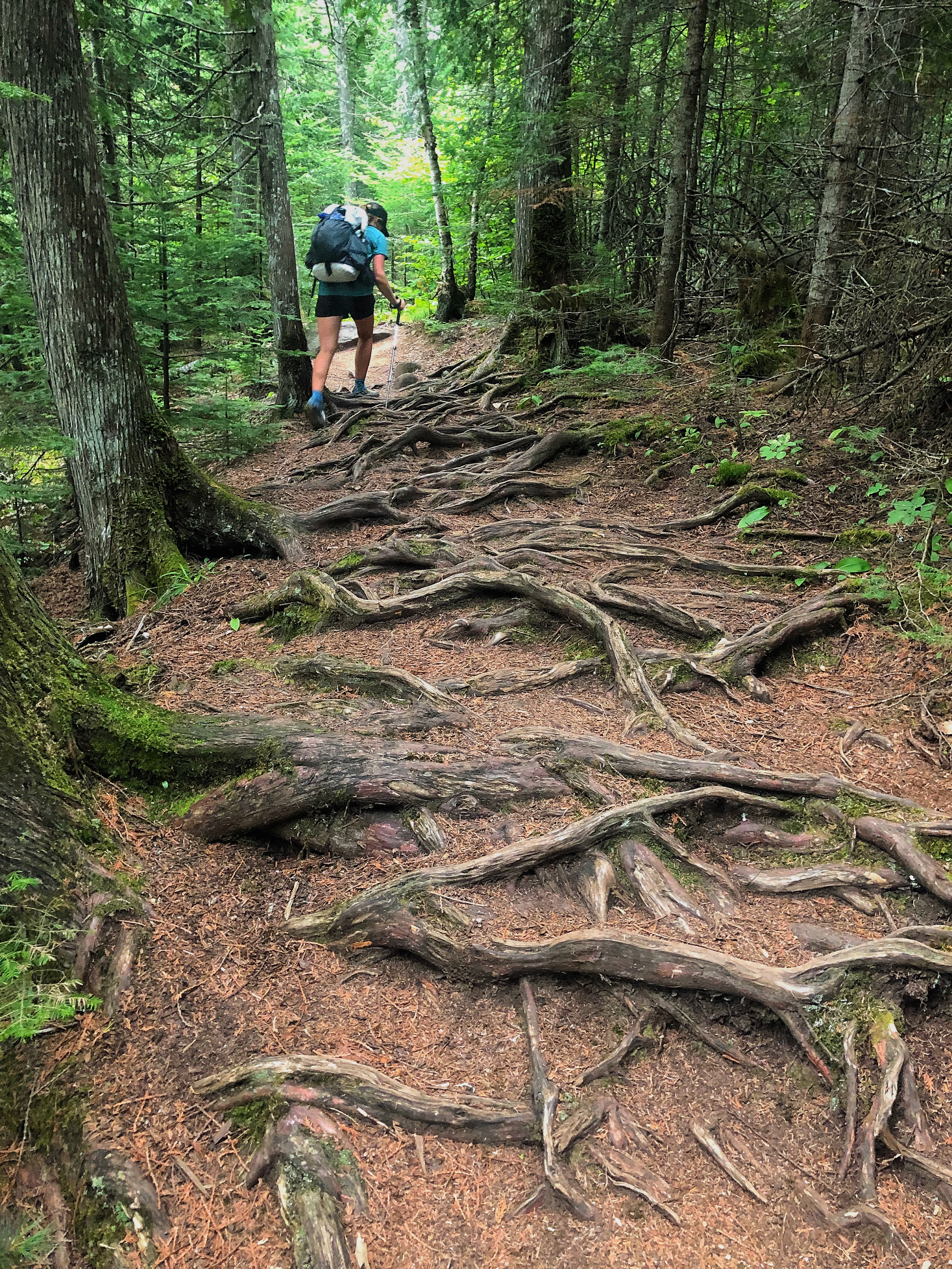 Superior national hiking clearance trail