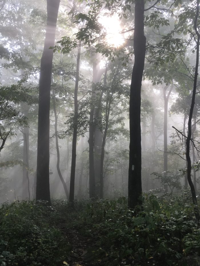 Back on Trail after Hurricane Break - The Trek