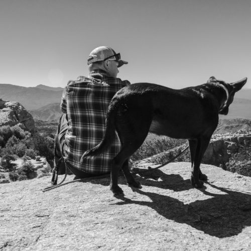 Arizona, AZT, Dog, Overlook, Rincon Mountains