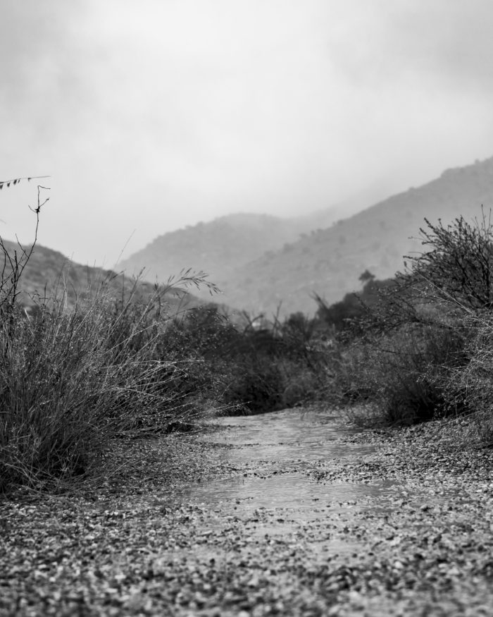 AZT, Santa Catalina Mountains, rain, reflection