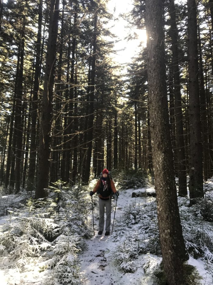 West Virginia Cranberry wilderness