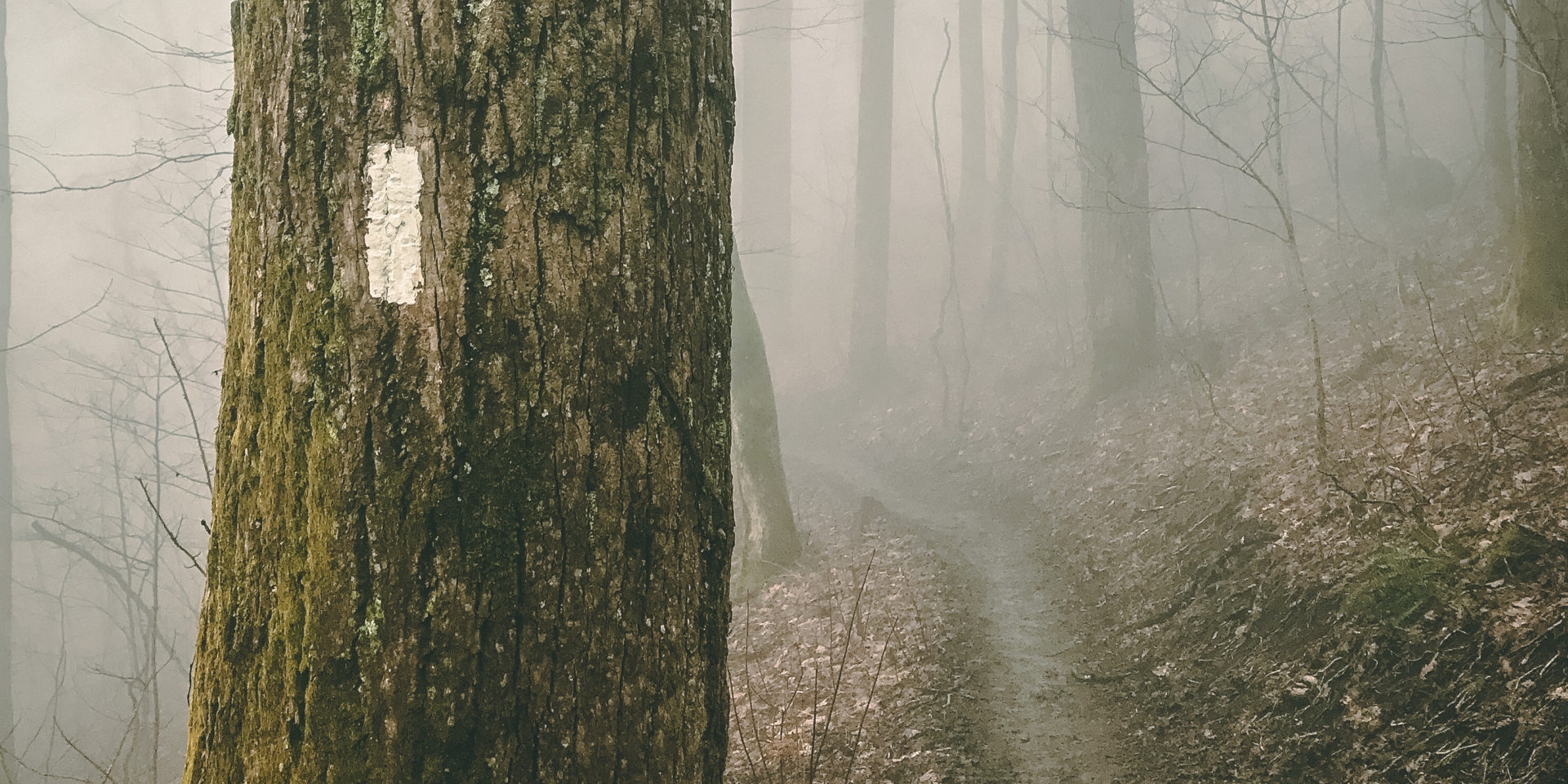 26 Gorgeous Appalachian Trail Photos to Help You Get Through the Week ...