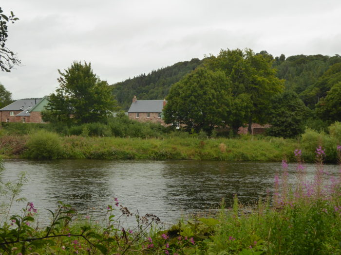 The River Tweed