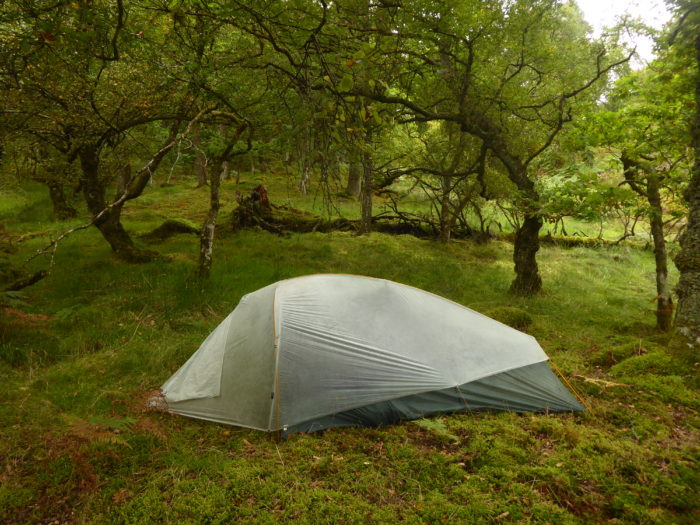 This camp turned out to have a lot of ticks, yuck.