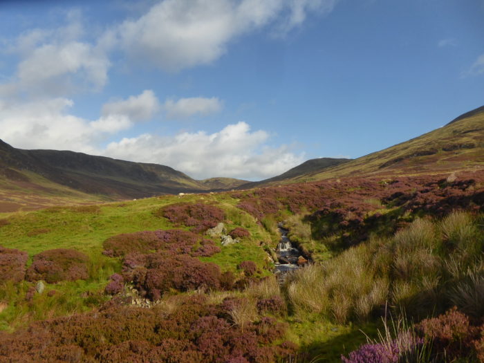 Boggy glen (basically all of Scotland)