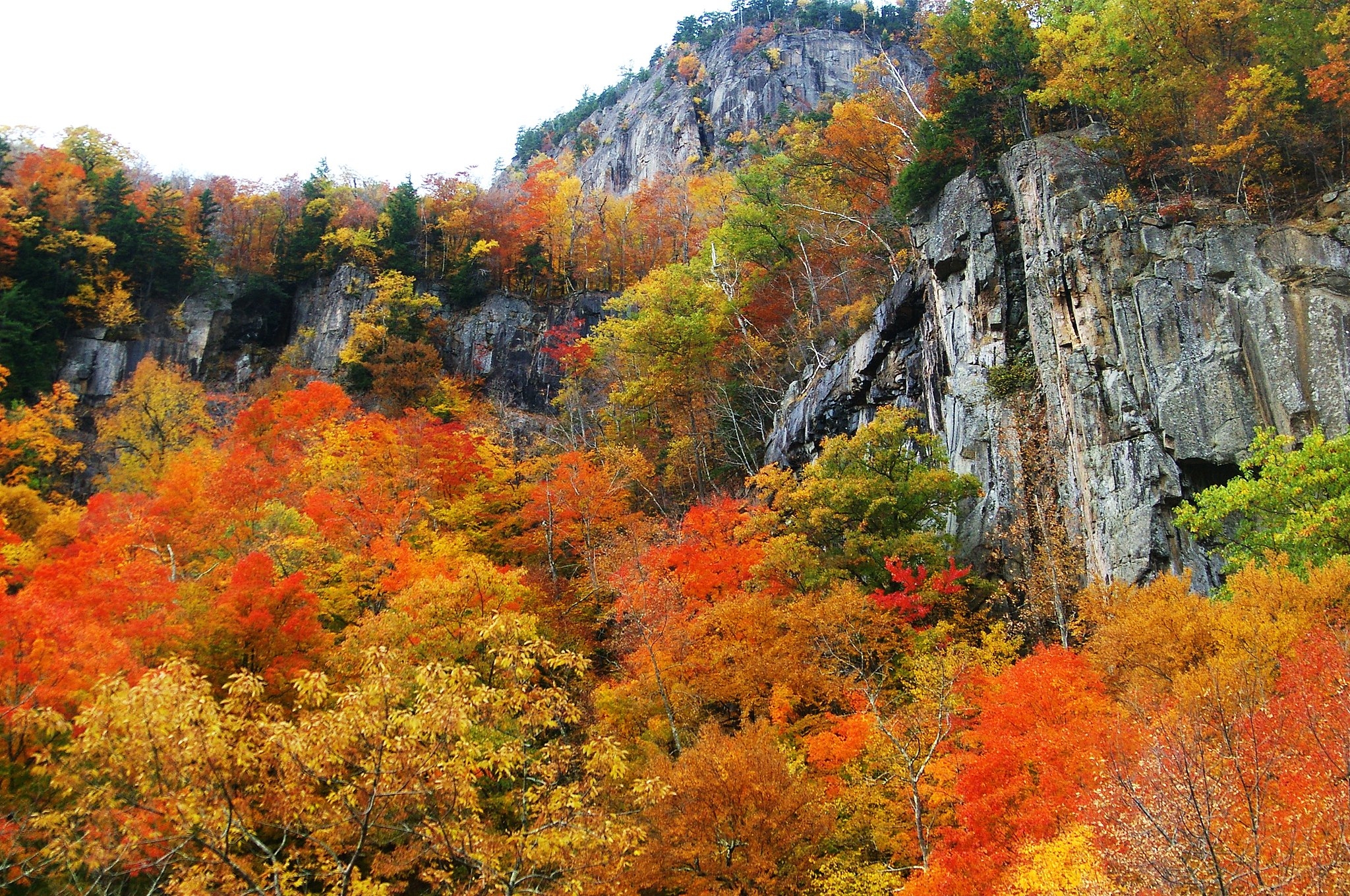 Fall Foliage Hikes In The Appalachian Mountains The Trek Fall Foliage Hikes In The Appalachian Mountains The Trek