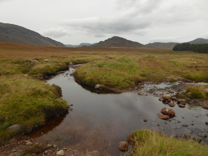 Good ol' well hydrated moorland.