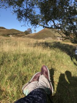 Enjoying some well-earned sunshine.