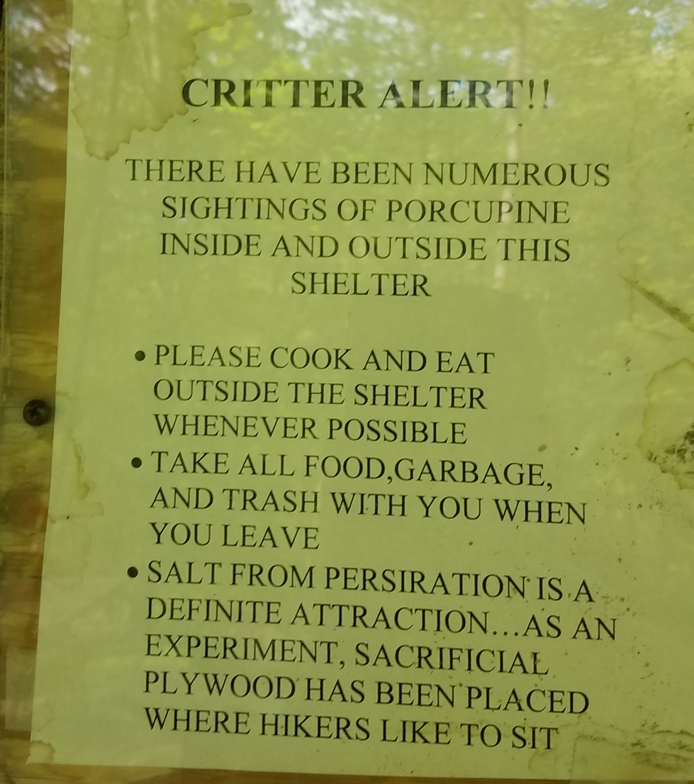 Sign at a shelter indicating high porcupine presence in the area