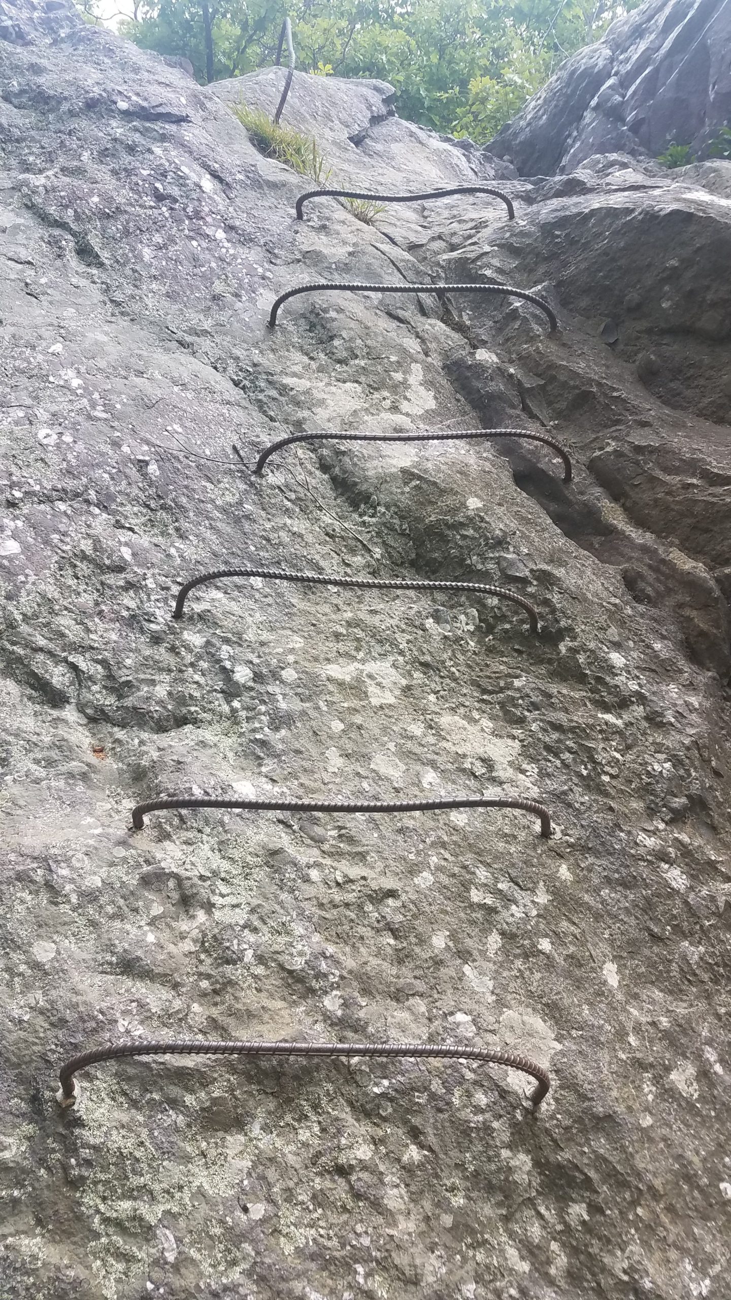 rebar ladder drilled into rocks on the trail