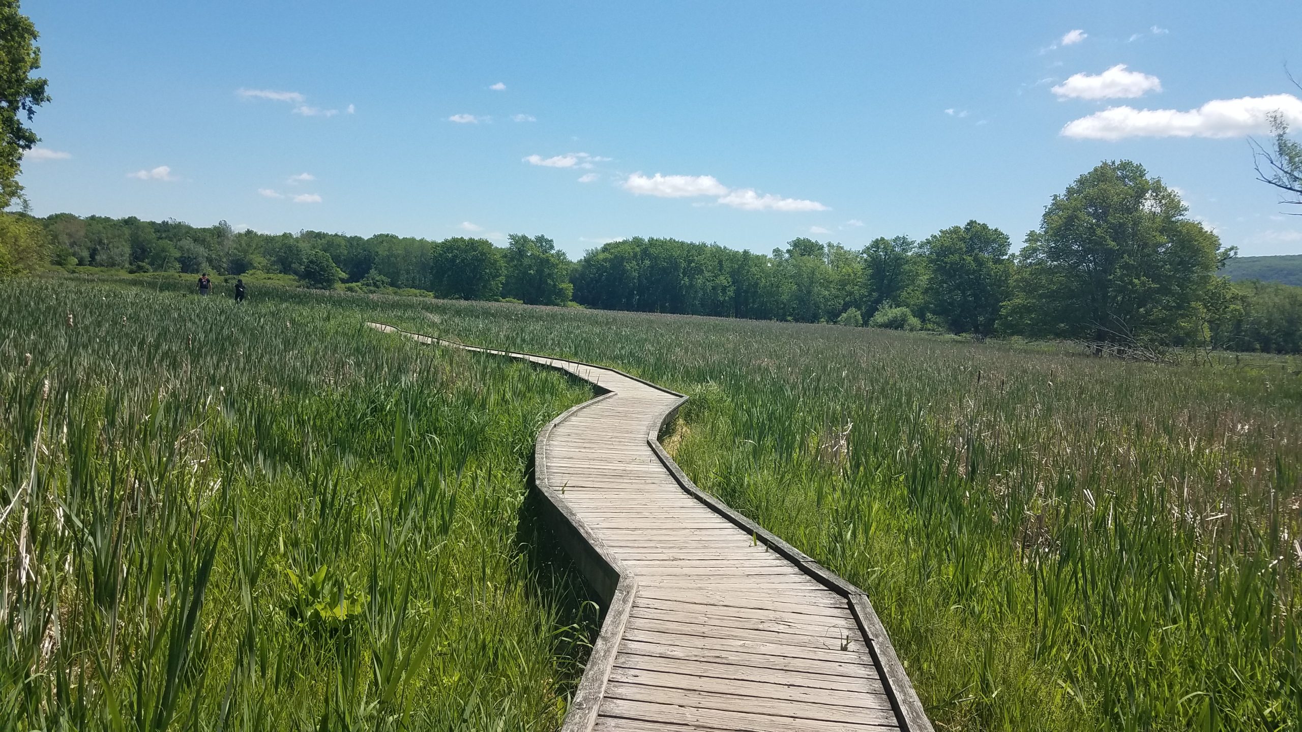 Photo of the long boardwalk in NJ