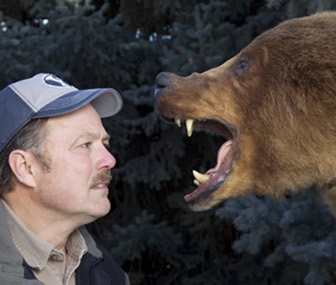 How to Prevent Bear Attacks, According to Experts