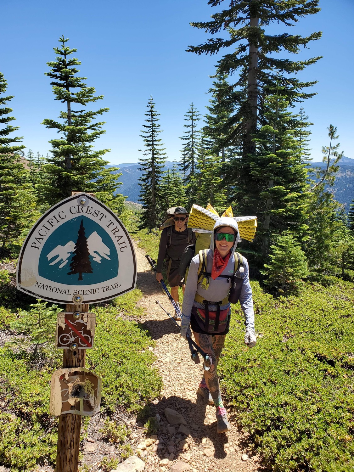 I've thru-hiked and section-hiked the PCT. Which is better? - FarOut