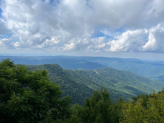 AT Days 100-103: Coyote Frenzy! / Blue Ridge Mountains - The Trek