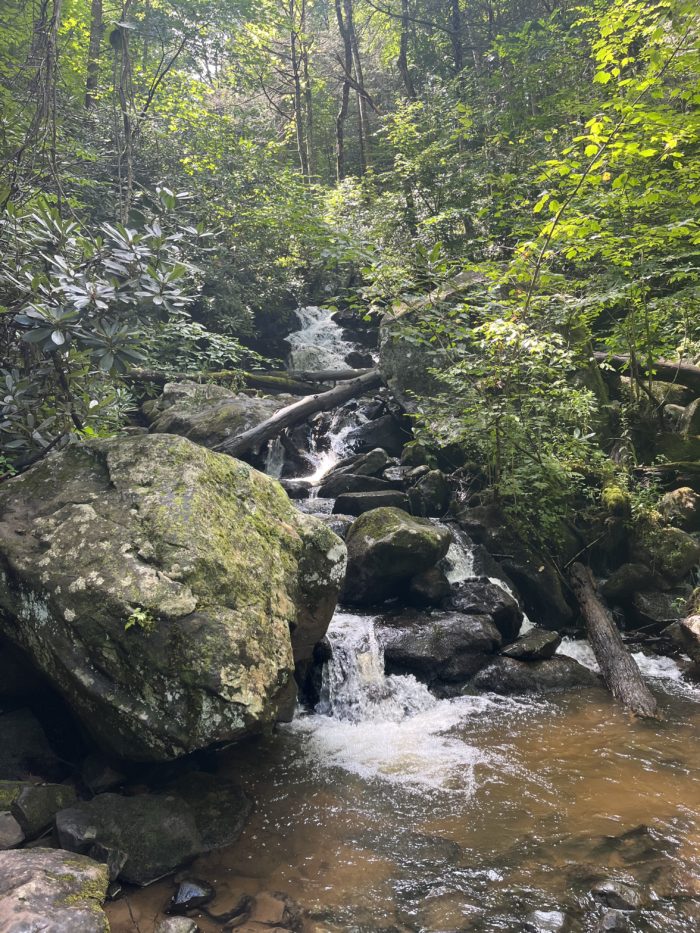 AT Days 120-123: Mt Rogers / Grayson Highlands - The Trek