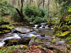 Rugged creek terrain on the BMT