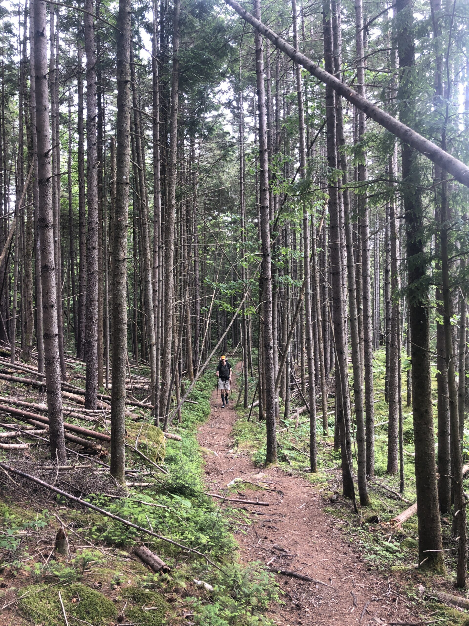 Nothing speaks of the traditions of the Maine woods or the mountains of the  Adirondacks