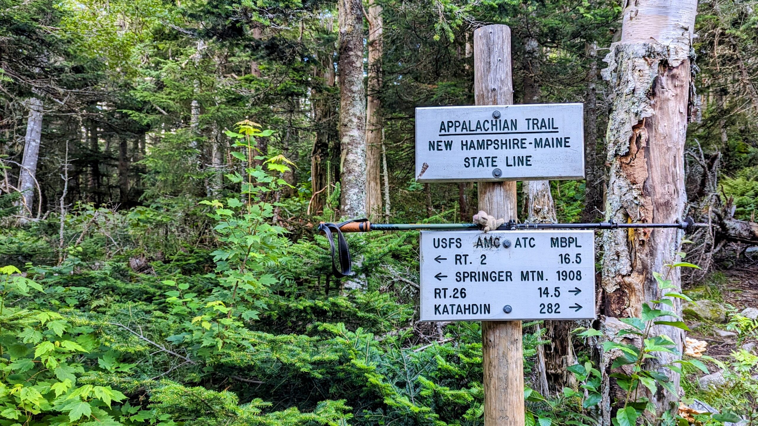A Jungle Gym Called Maine The Trek