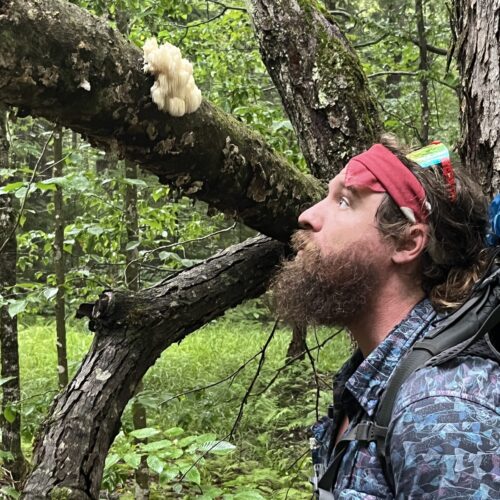 Tarzan going eye to eye with the Bear's Head Tooth just outside of Whitehouse Junction on the NPT