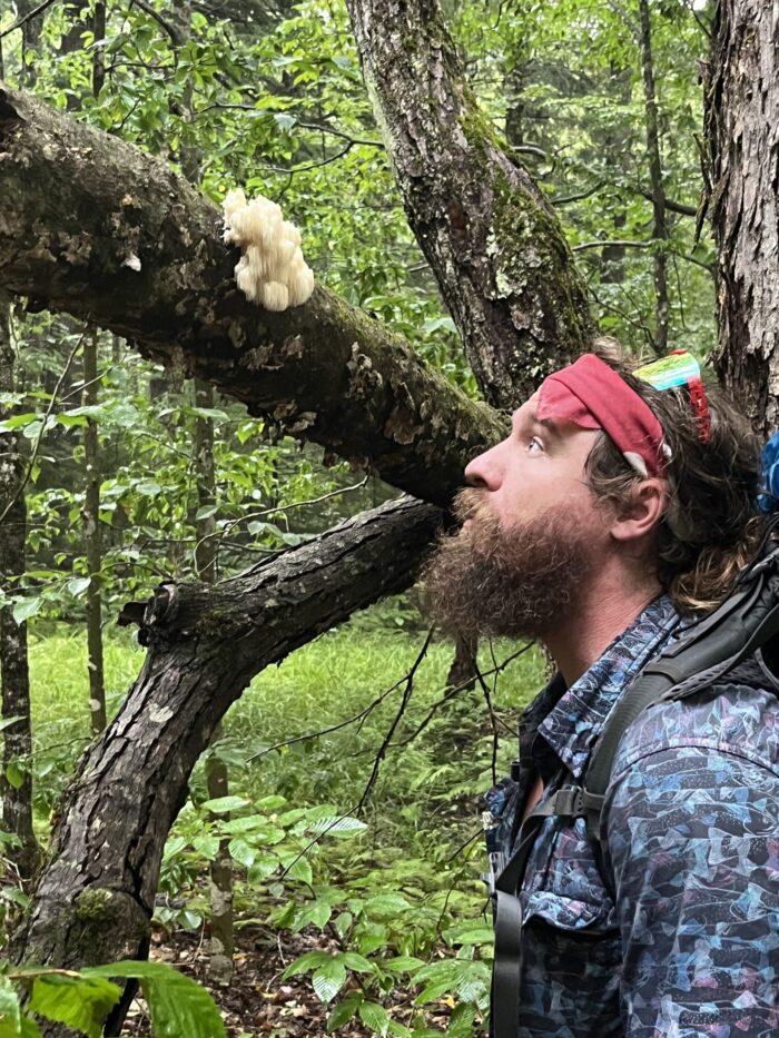 Tarzan going eye to eye with the Bear's Head Tooth just outside of Whitehouse Junction on the NPT
