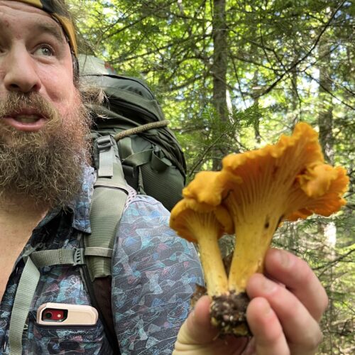Tarzan holding a massive double golden chanterelle mushroom