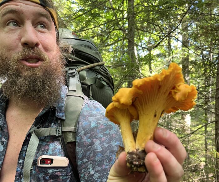 Tarzan holding a massive double golden chanterelle mushroom