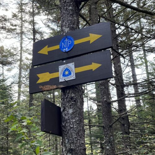 Northville Placid Trail meets North Country Trail signs