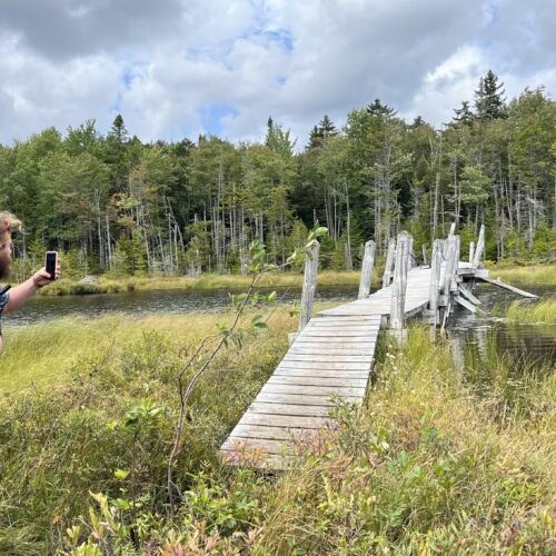 Tarzan admiring South Lake Bridge in the West Canada Lakes Wilderness
